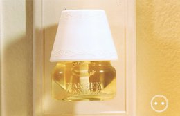 Diffuseurs Electriques