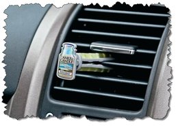 Car Vent Stick