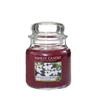 Madagascan Orchid - Medium Jar