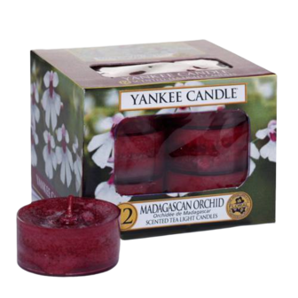 Madagascan Orchid - Tea-Lights