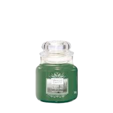 Evergreen Mist - Small Jar