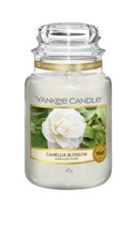 Camellia Blossom - Large Jar