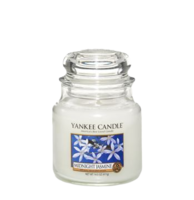 Midnight Jasmine - Medium Jar