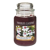 Madagascan Orchid - Large Jar