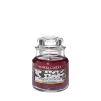 Madagascan Orchid - Small Jar