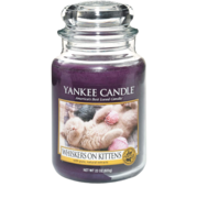 Whiskers on Kitten- Large Jar