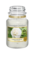 Camellia Blossom - Large Jar