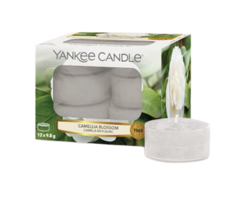 Camellia Blossom - Tea-Lights