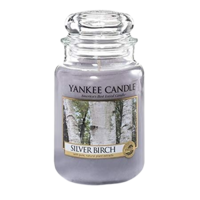 Silver Birch - Large Jar