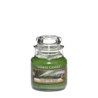 Under the Palms - Small Jar