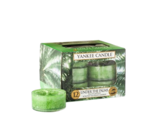 Under the Palms - Tea-Lights