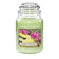 Pineapple Cilantro - Large Jar