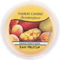 Mango Peach Salsa - MeltCup