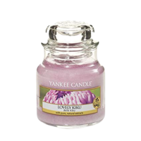 Lovely Kiku - Small Jar