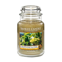 Grapevine & Oak - Large Jar