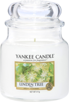 Linden Tree - Medium Jar