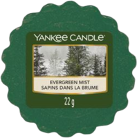 Evergreen Mist - Wax Melts